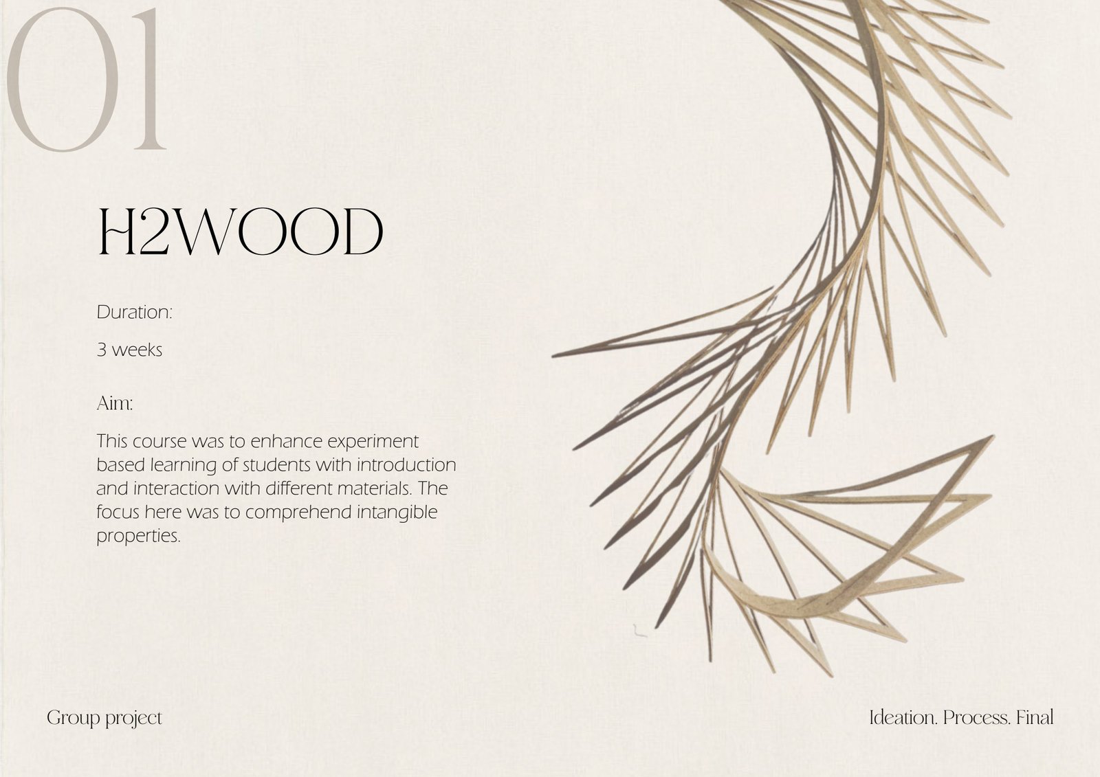 H2wood project introduction